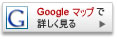 googleMap